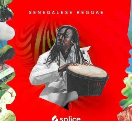 Splice Sessions Senegalese Reggae WAV